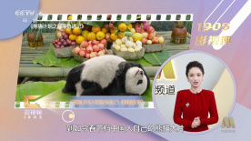 免费乱理伦片在线观看下载